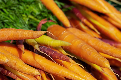 Βαρβάρα Καραγιαννίδου Καρότα