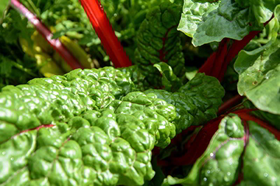 Βαρβάρα Καραγιαννίδου Σέσκουλο