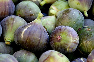 Βαρβάρα Καραγιαννίδου Σύκα